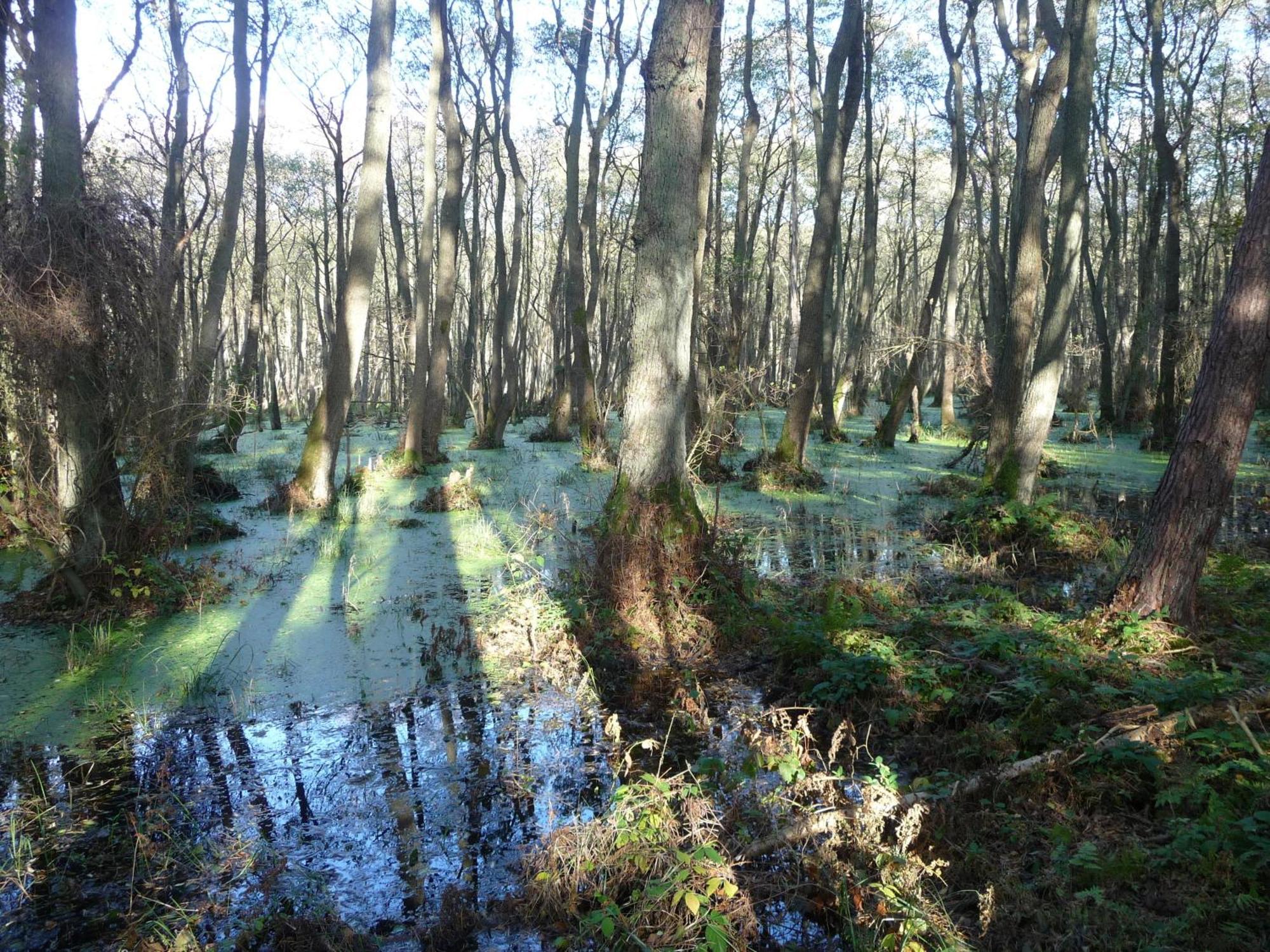 Fewo Abendsonne Prerow Extérieur photo